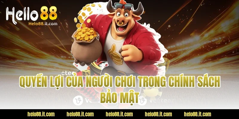 Quyền Lợi Của Người Chơi Trong Chính Sách Bảo Mật